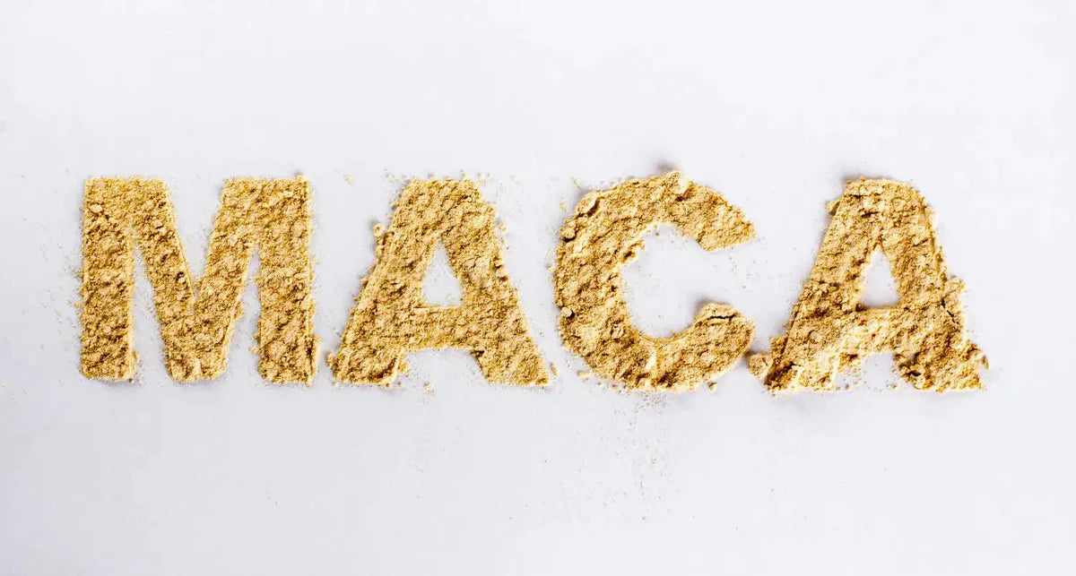 Propriétés, avantages et utilisations de la maca péruvienne