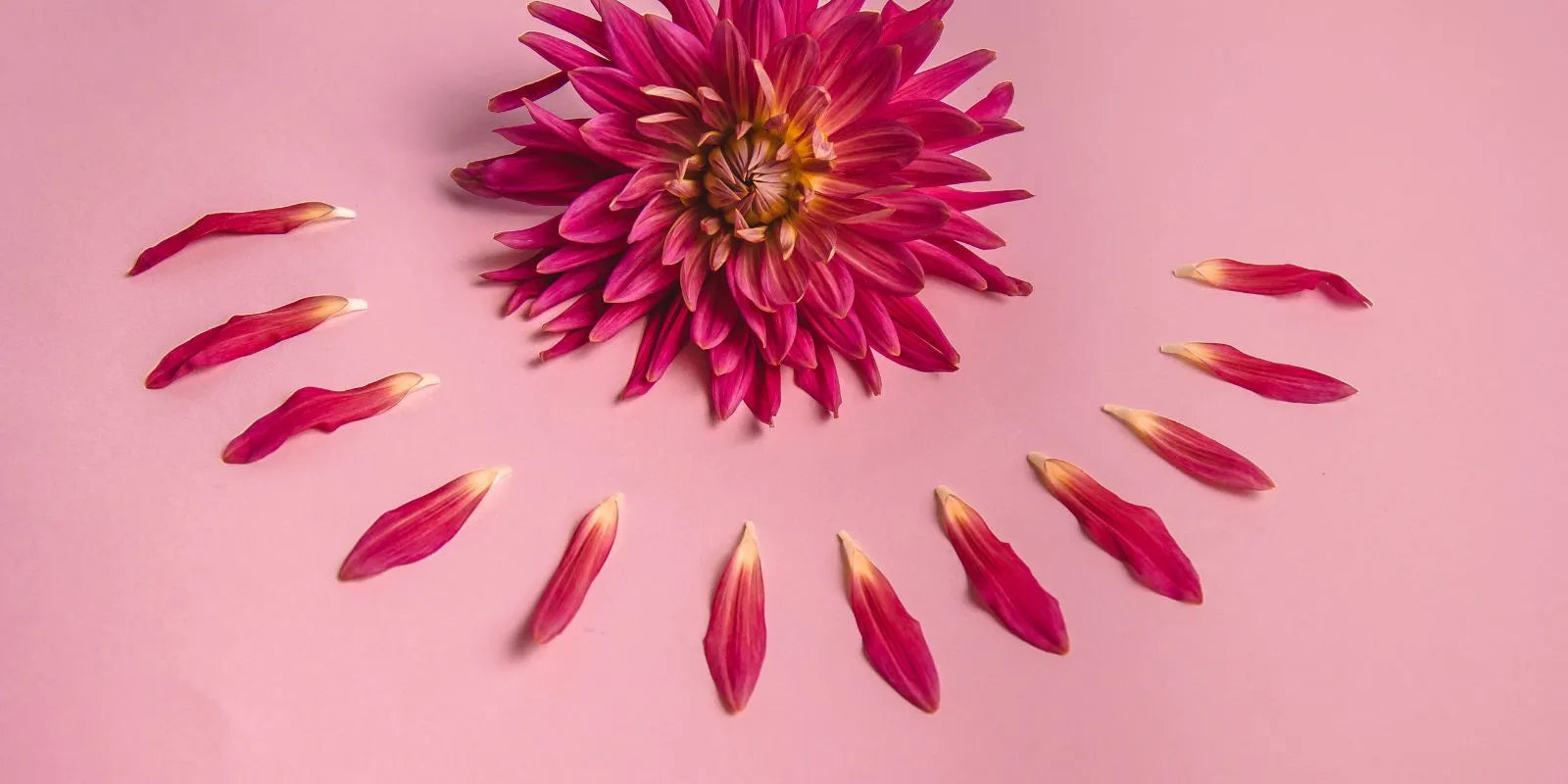 Ménopause & changement hormonal