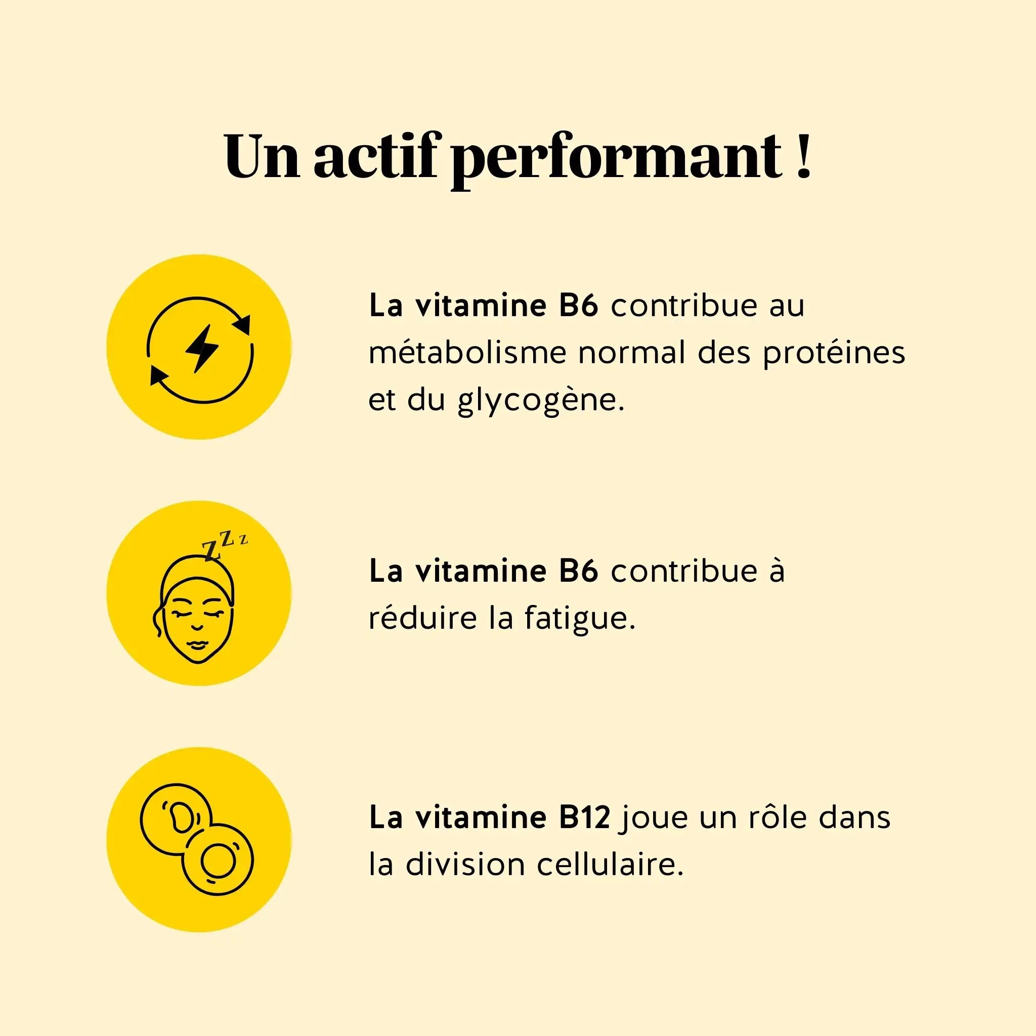Illustration des bienfaits santé des gummies Digestion au vinaigre de cidre, vitamine B6 pour l’énergie et vitamine B12 pour la division cellulaire | Bears with Benefits
