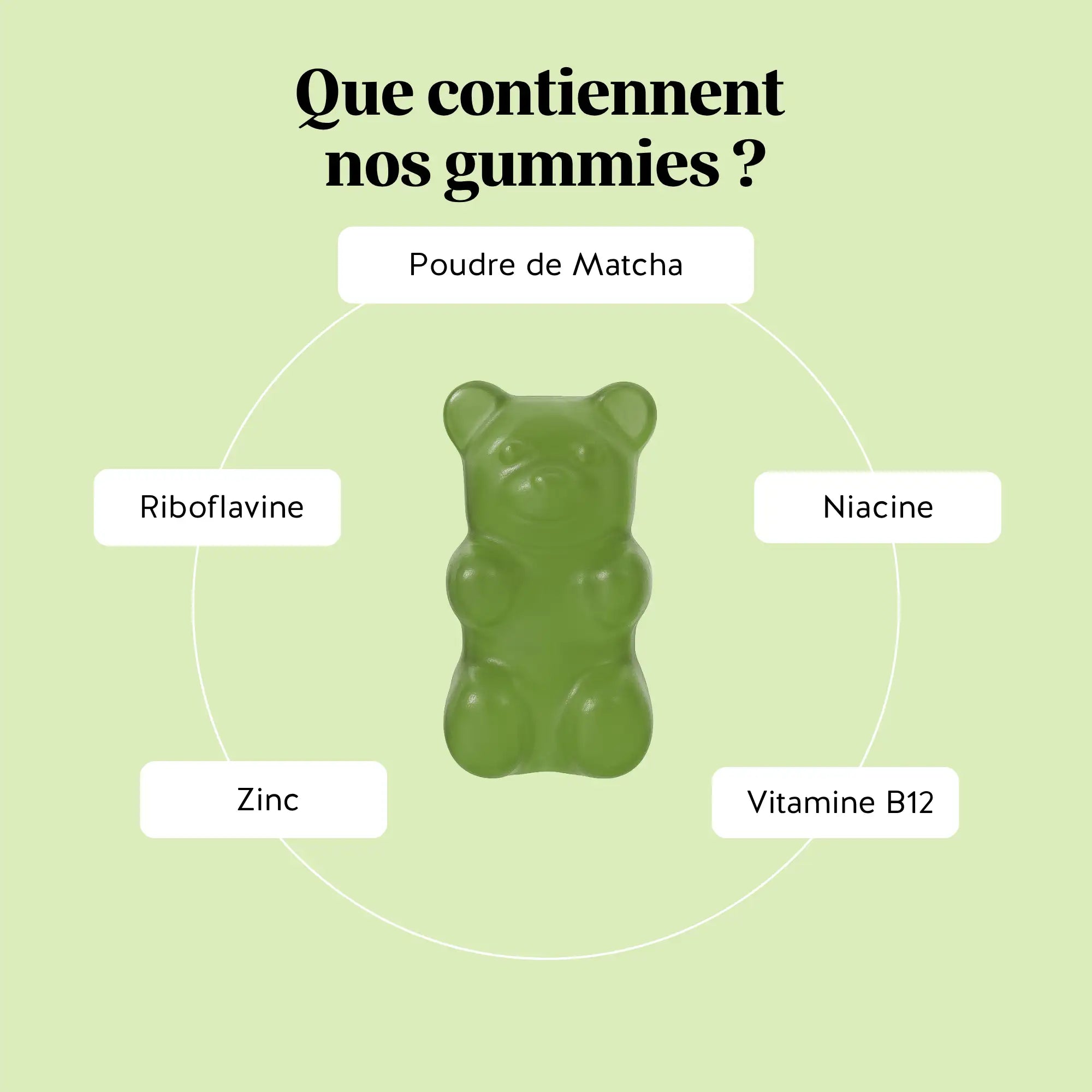 Infographie des ingrédients des gummies Matcha Métabolisme & Énergie avec poudre de matcha, vitamine B2, niacine, vitamine B12 et zinc pour l’énergie. l Bears with Benefits