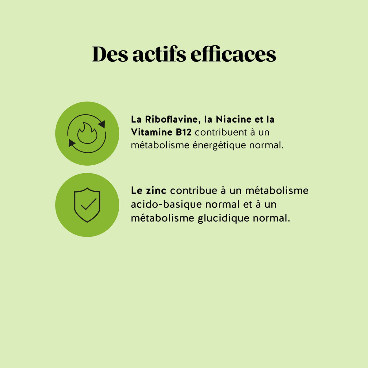 Visuel des bienfaits des gummies Matcha Métabolisme & Énergie avec vitamines B, niacine et zinc pour le métabolisme énergétique. l Bears with Benefits
