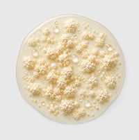 Bacillus coagulans BC99 