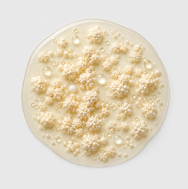 Bacillus coagulans BC99 