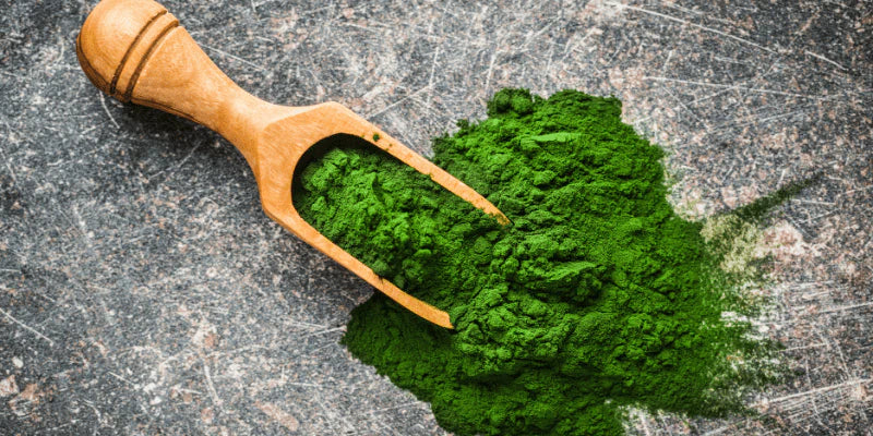 vitamines contenues dans la chlorella