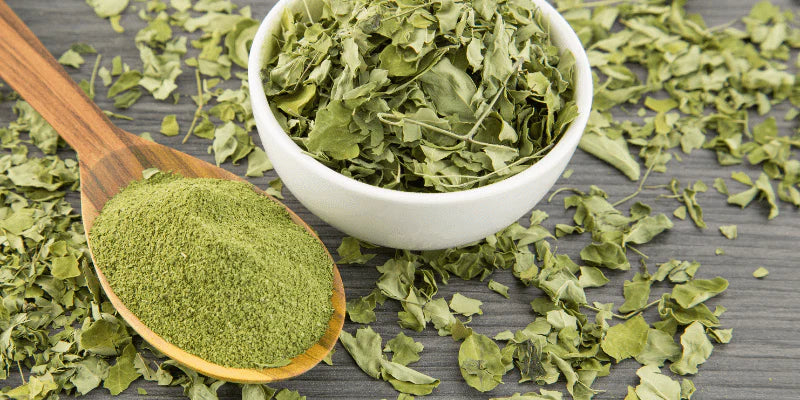 moringa