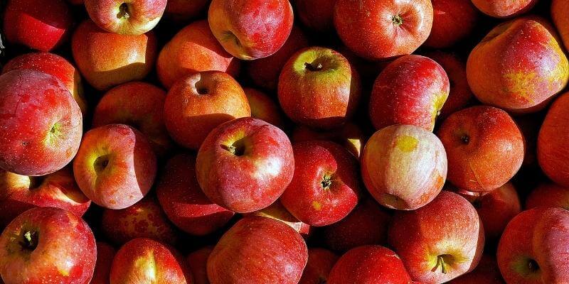 Ceci est l'effet du vinaigre de cidre de pomme sur l'alimentation ou sur la perte de poids