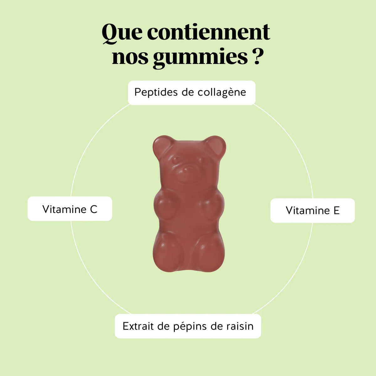 Infographie des ingrédients des gummies Silhouette Collagène et OPC de Bears with Benefits : peptides de collagène, extrait de pépins de raisin (OPC), vitamine C et vitamine E. l Bears with Benefits