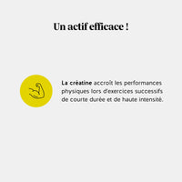 Bienfaits de la créatine : amélioration des performances physiques lors d’exercices courts et intenses l Bears with Benefits
