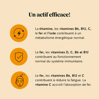 Infographie détaillant les bienfaits du fer, des vitamines B6, B12, C, D, ainsi que de l’iode et de la thiamine pour l’énergie, l’immunité et la réduction de la fatigue l Bears with Benefits.