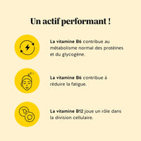 Illustration des bienfaits santé des gummies Digestion au vinaigre de cidre, vitamine B6 pour l’énergie et vitamine B12 pour la division cellulaire | Bears with Benefits