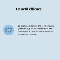 Les vitamines B1, B2, B6 et B12 des gummies ZEN contribuent au fonctionnement normal du système nerveux et à l’équilibre mental l Bears with Benefits