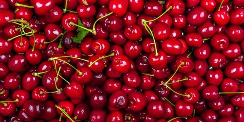 QUELS ALIMENTS CONTIENNENT DE LA MÉLATONINE ? Bears with Benefits