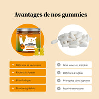 Visuel “Un actif efficace !” pour Confort Saisonnier de Bears with Benefits : la vitamine C contribue à réduire la fatigue ; la vitamine C et le zinc contribuent au fonctionnement normal du système immunitaire. l Bears with Benefits