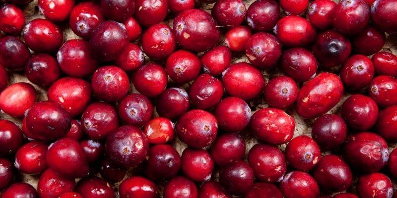 Aliments avec oligomères proanthocyanides - Bears with Benefits