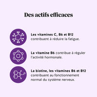 Infographie présentant les actifs du produit Femm'tastique Ménopause et leurs bénéfices liés à la fatigue, à l'activité hormonale et au système nerveux.