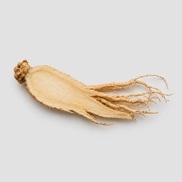 Ginseng