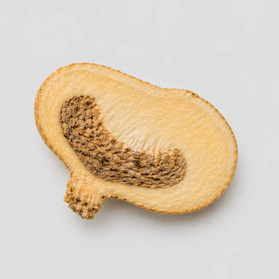 Maca