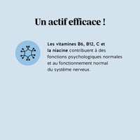 Infographie sur les vitamines B6, B12, C et la niacine contribuant au fonctionnement normal du système nerveux et aux fonctions psychologiques - gummies  Zéro Distraction Clear Mind, Bears with Benefits.